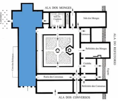 Fig. 6 – Spiritus - Planta  