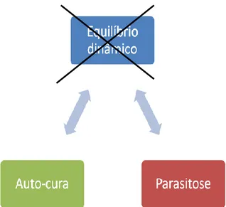 Figura 2 – Esquema demonstrativo da evolução após quebra de equilíbrio dinâmico entre  hospedeiro e parasita
