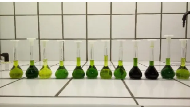 Figure 15: Final result of the polyphenol extraction 