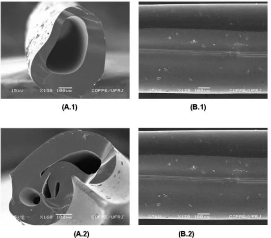 Figura 5: Fotomicrografias das fibras ocas pirolisadas: letras: (A) seção transversal; (B) superfície externa