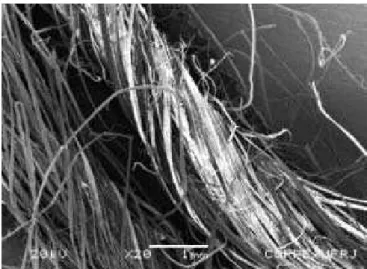 Figura 2: Micrografia por MEV das fibras trançadas de juta formando os fios do tecido