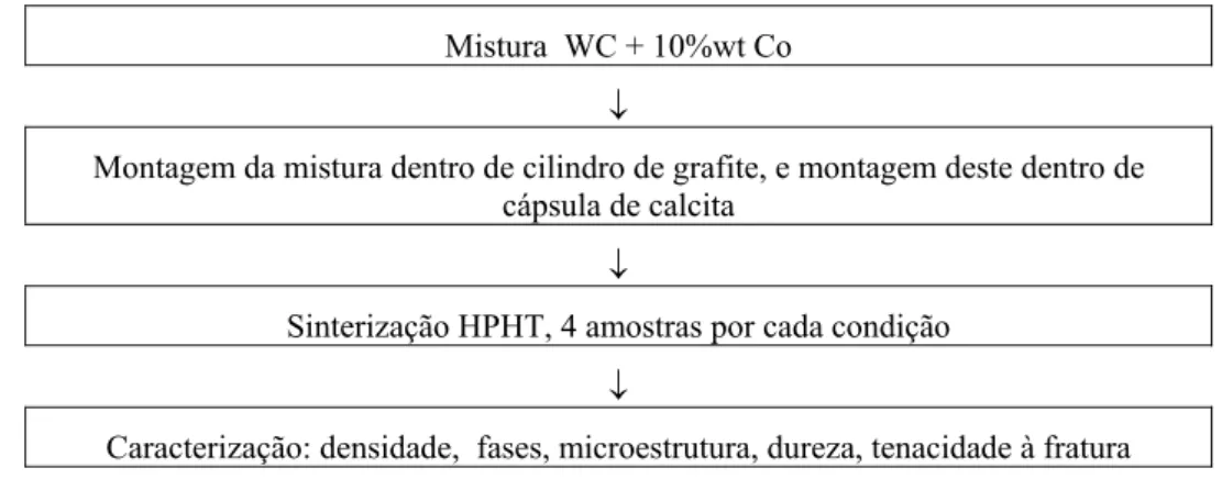 Tabela 1: Parâmetros das sinterizações HPHT. 
