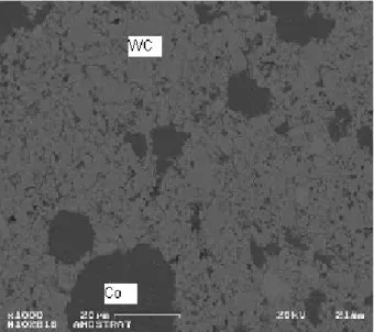 Figura 6: Micrografia da amostra de WC/10Co sinterizada a 5GPa/1400ºC/1min. 
