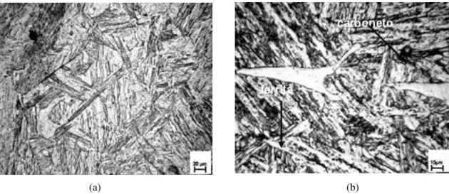 Figura 2: Micrografia da liga na condição bruta de fusão, obtida por microscopia ótica