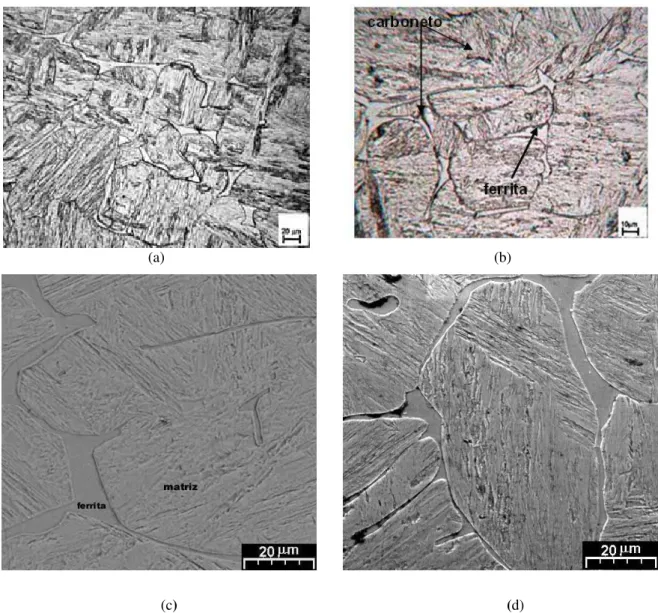 Figura 3: Micrografia da liga tratada termicamente. Obtida por microscopia ótica. (a) seção transversal do  corpo de prova; (b) seção longitudinal do corpo de prova