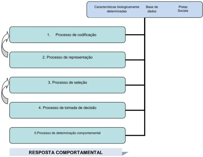 Figura 1: Modelo do Processamento da Informação Social (adaptado de Dodge,  1986)  
