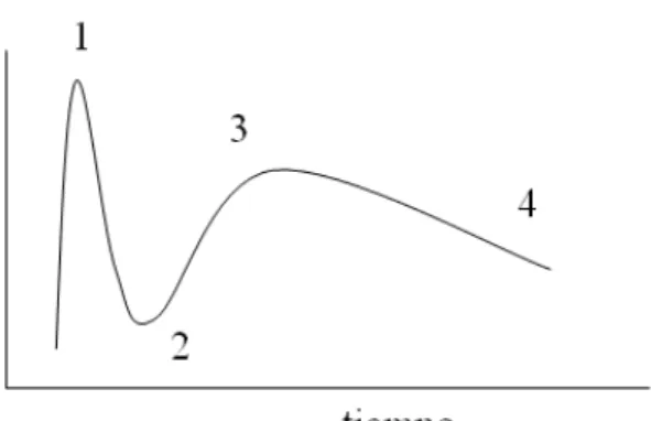 Figura 4: Esquema de una curva calorimétrica típica. 