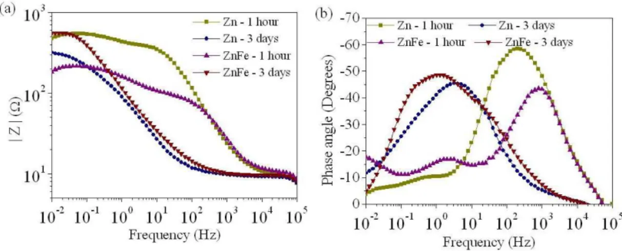 Figure 4 shows results obtained in samples Zn and ZnFe in the EIS experiments. As shown in fig 4a,  the values of |Z| for both samples at different times of immersion are in the range 10 2 -10 3 Ω 