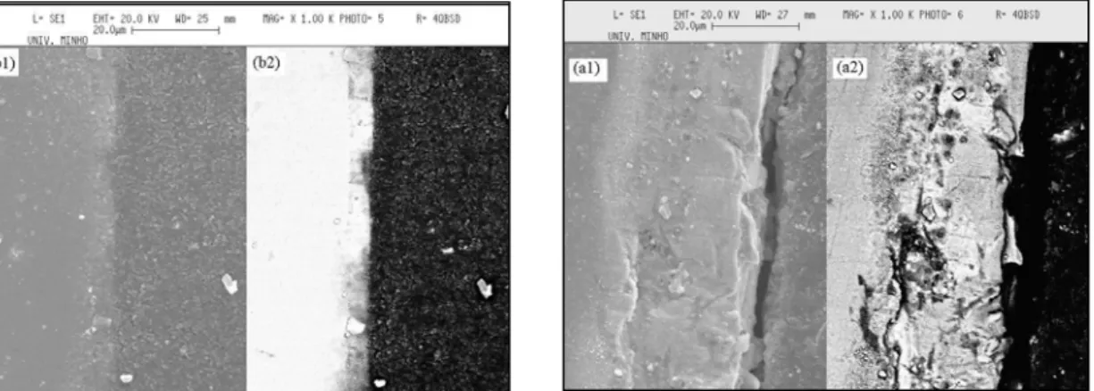 Figure 9: SEM micrographs of the cross section of Zn/R (a) and ZnFe/R (b). 1- Image of secondary  electrons