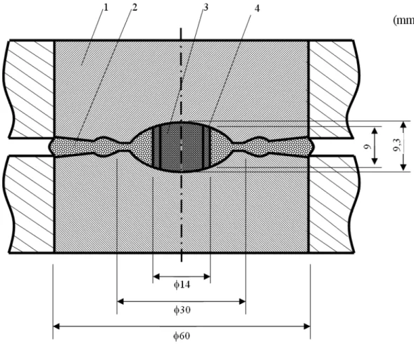 Figure 1: Schematic diagram of a section of a HPD of a toroidal type anvil in the compressed state