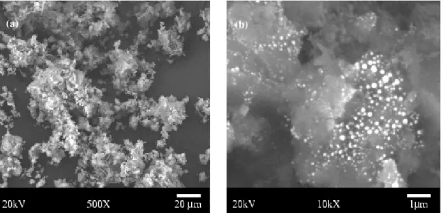 Figure 3: (a) Morphology of the calcium phosphate powder after drying in a rotating evaporator;  