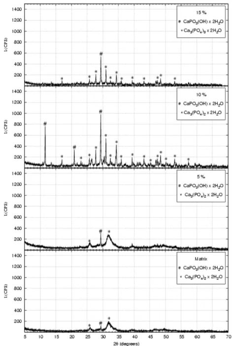 Figure 5: X-ray diffraction patterns of the powders after drying in a rotating evaporator