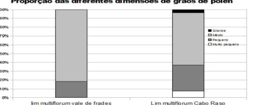 Gráfico  4:  Proporção  dos  diferentes  classes  de  dimensões  dos  grãos    de  pólen  em  L
