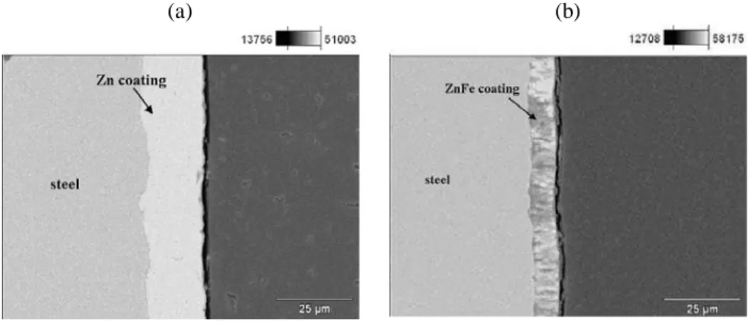Figure 1: SEM images of cross sections of samples. (a) Galvanised – (b) ZnFe.  