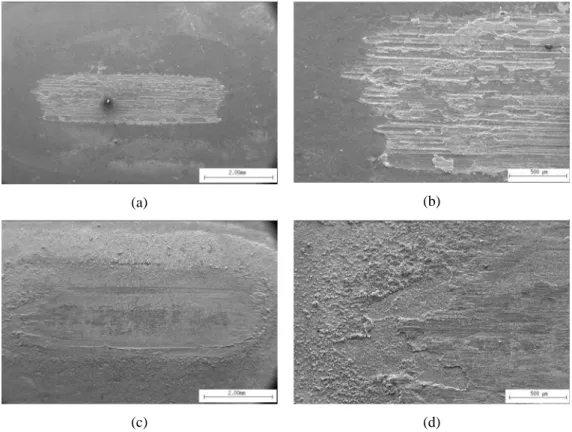 Figure 5: Scanning electron micrographics of areas in the wear tracks of Zn and zinc-iron coatings