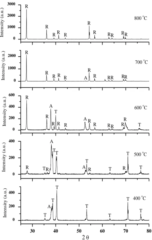 Figure 3: XRD patterns of titanium surfaces oxidized 48 hours in air (T = titanium, A = anatase, R = Rutile)