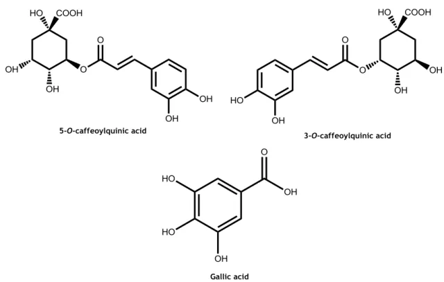 Figure  3.  Main  phenolic  acid  content  in  peach:  hydroxycinnamic  acids  5-O-caffeoylquinic  acid  and  isomer 3-O-caffeoylquinic acid