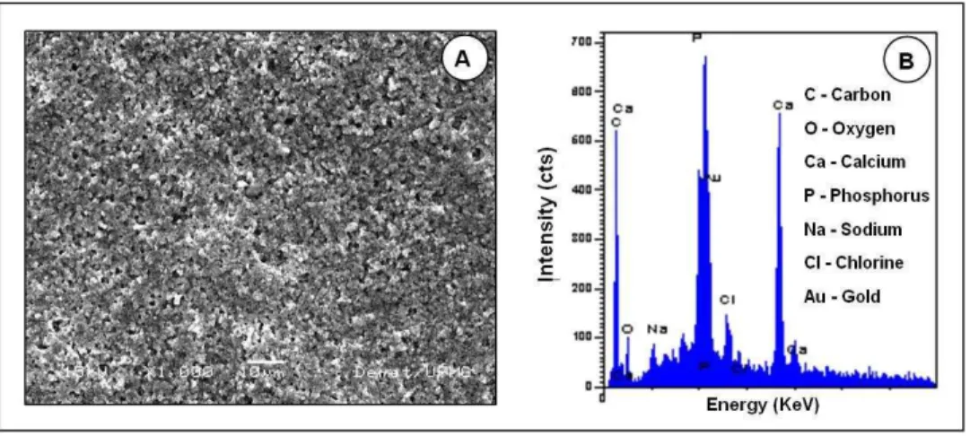 Figure 1: Scanning electron micrograph at 1,000x magnification   (A) and energy dispersive spectroscopy (B) of HAP/COL composite