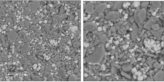 Figure 4 shows the backscattered  image of  ZTA disks after partial sintering. It can be seen that the  particle  size  of  zirconia  is  significantly  lower  that  alumina  and  it  form  clusters  in  different  regions  of  the  alumina  matrix