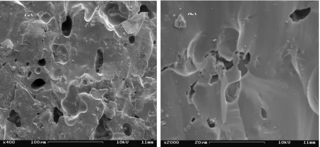 Figure 5: SEM microstructure of the fractured surface of the ceramic body   fired at 1180 o C