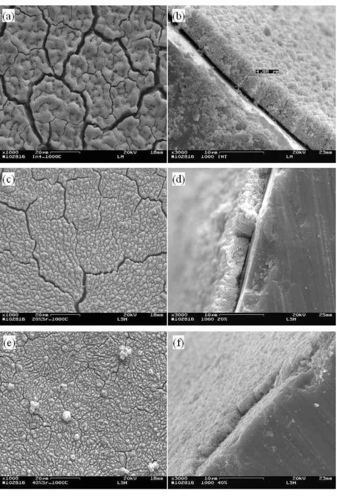 Figura 4: Imagens de microscopia eletrônica de varredura da superfície e seção transversal de filmes de LSM  depositados em Si (100) tipo p e tratados termicamente a 1000ºC:  