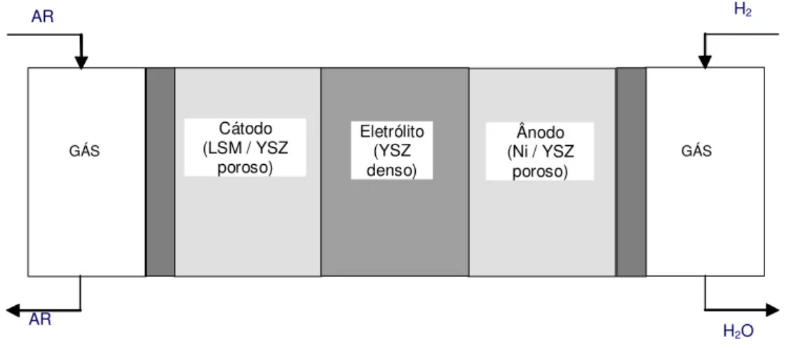 Figura 1: esquema de uma PaCOS típica 