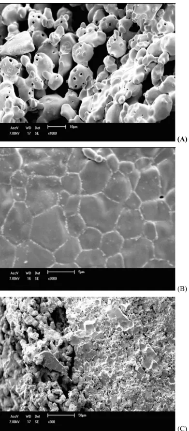 Figura 2: Micrografias eletrônicas de varredura de uma PaCOS  feita na UFBA: A – fratura do ânodo  (1000x); B – fratura do eletrólito (3000x); C – fratura da  interface eletrólito e cátodo (300x) 