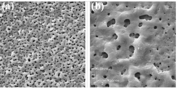 Figure 1: SEM micrographies (5,000 x) of the Ti anodic films produced in (a) 1.0M H 2 SO 4 /150V, and (b)  0.5M Na 2 SO 4 /100V