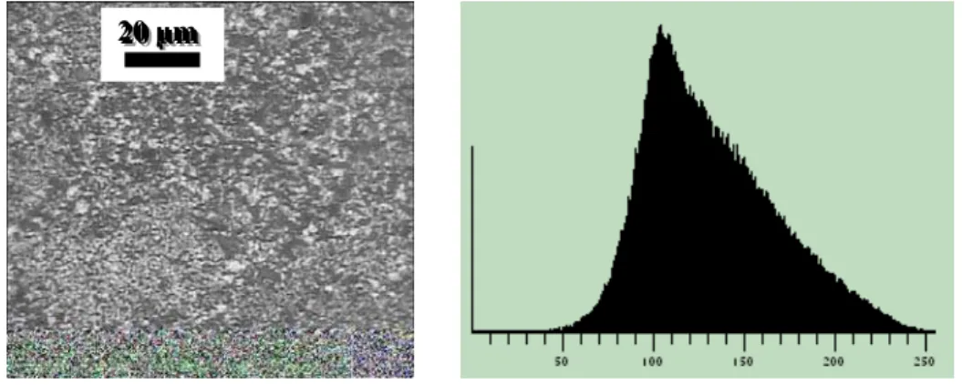 Figura 1: Microscopia Óptica original do cermet Ni/ZEI com correspondente histograma de tons de cinza  (valor de cinza 0 = preto; valor de cinza 255 = branco)