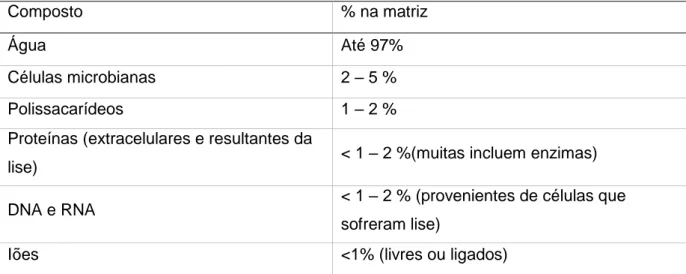 Tabela 2 – Percentagens dos compostos do biofilme (adaptado de Sutherland, 2001) 