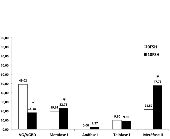Figura 10: Efeito  in vitro do FSH (10 ng/mL) na maturação nuclear de ovócitos  bovinos em meio definido MIV B