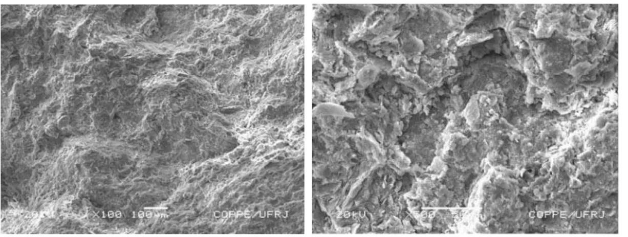 Figura 3: Micrografia obtida por MEV da região de fratura da cerâmica sem resíduo queimada a 700°C