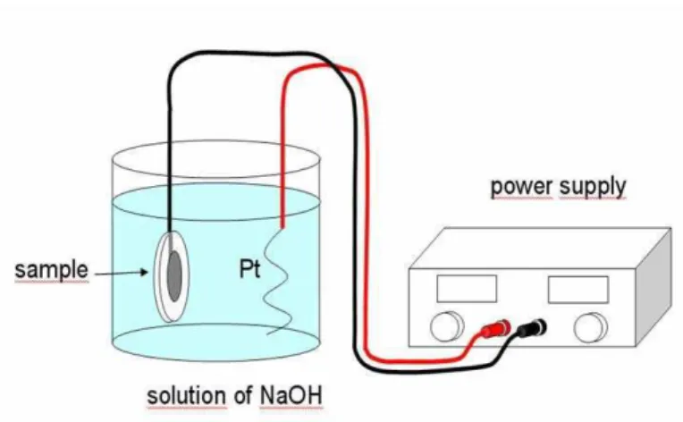 Figure 1: Experimental Setup of the electrochemical hydrogenation. 