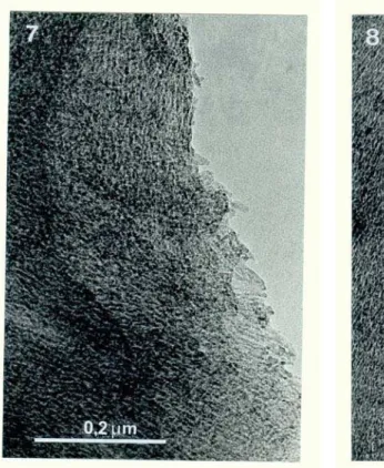 Figure 7: TEM of the J-Al 2 O 3  pseudomorphs  from 700 o C heated 168 hours aged 