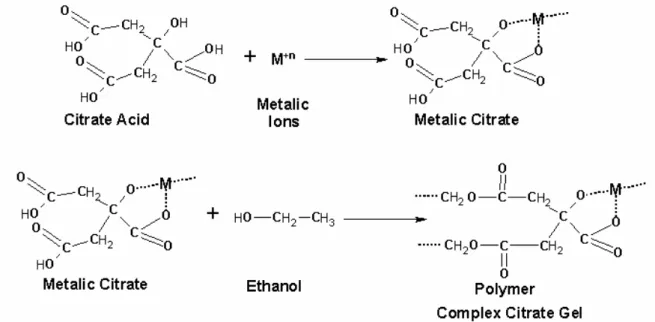 Figure 1:  Reactions in the citrate precursor method 