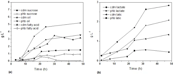 Figure 1: Cell dry biomass and P3HB concentration during 48 hours culture. (a) A. latus ATCC 29712  supplied with sucrose (cell dry mass  Ŷ  and P3HB  ż ) as the sole carbon source, R