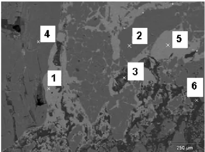 Figura 8: Imagem obtida por microscopia eletrônica de varredura de um tijolo refratário de magnésia- magnésia-carbono após a sua utilização (indicação 2, Figura1b)