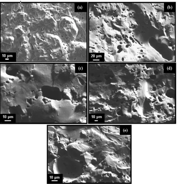 Figura 3: Fotomicrografias obtidas por Microscopia Eletrônica de Varredura das superfícies de fratura das  amostras (a) 20G queimada a 1150°C, (b) 15G, (c) 15F15G, (d) 20F10G e (e) 25F5G queimadas a 1200°C