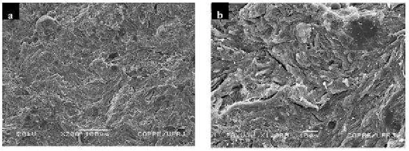 Figure 13: SEM Fractographs of the red ceramic without ash incorporation (A0C) fired at 1050°C