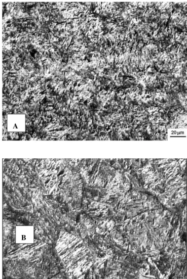 Figure 4: (a) microstructure of sample quenched at 860  C; (b) microstructure of sample quenched at  1060  C