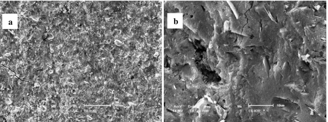 Figura 3: Micrografias obtidas por MEV da pasta geopolimérica em ciclagem na água. (a) 80 x; (b) 1500 x
