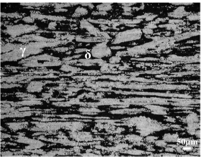 Figure 2 shows SEM micrographs of the pieces subjected to 800 and 900°C. The microstructure  consists of ferrite, austenite and sigma phase delimiting ferritic grain boundaries