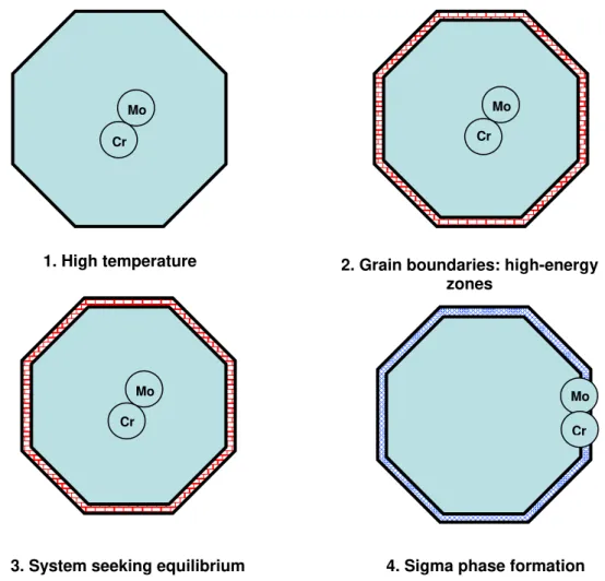 Figure 7: Schematization of sigma phase formation in isothermally conditions. 