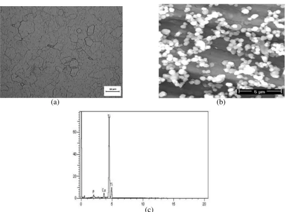 Figure 1a shows that the cp Ti had a typical cast microstructure, with non-homogeneous size  distribution of α phase grains