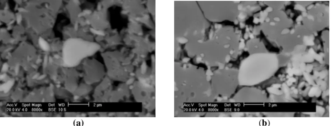 Table 1 shows the flexural strength values determined in this work. The LZSA glass material shows  a better behavior at lower sintering temperatures