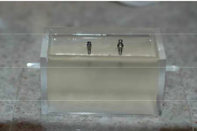 Figura 2: Modelo fotoelástico, com os 2 mini-implantes suspensos no material fotoelástico
