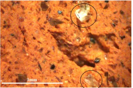 Figura 5: Micrografia ótica da cerâmica M25 queimada a 1000°C. 