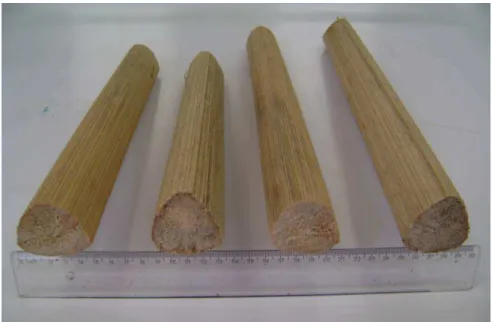 Figure 1: The as received buriti biofoam. 