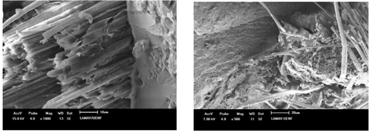 Figure 6: Charpy impact fracture surface of a polyester composite reinforced with 30% of strong alkali  treated (10% NaOH - 1 hour) curaua fibers