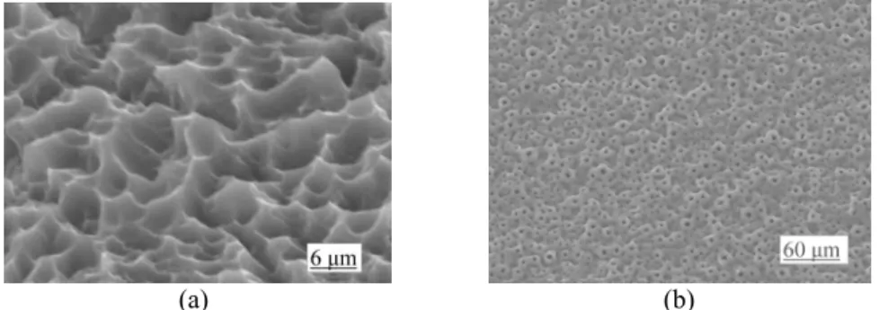 Figure 1: Titanium dental implant surface morphology. (a) Acid etched. (b) Anodized. 